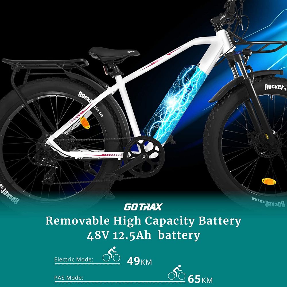 Gotrax 26 pouces Fat Bike 500 watts 
